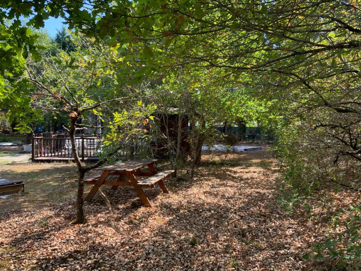 Domaine De Labelo Bed & Breakfast Commensacq Exterior foto