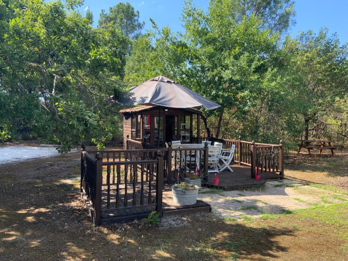 Domaine De Labelo Bed & Breakfast Commensacq Exterior foto