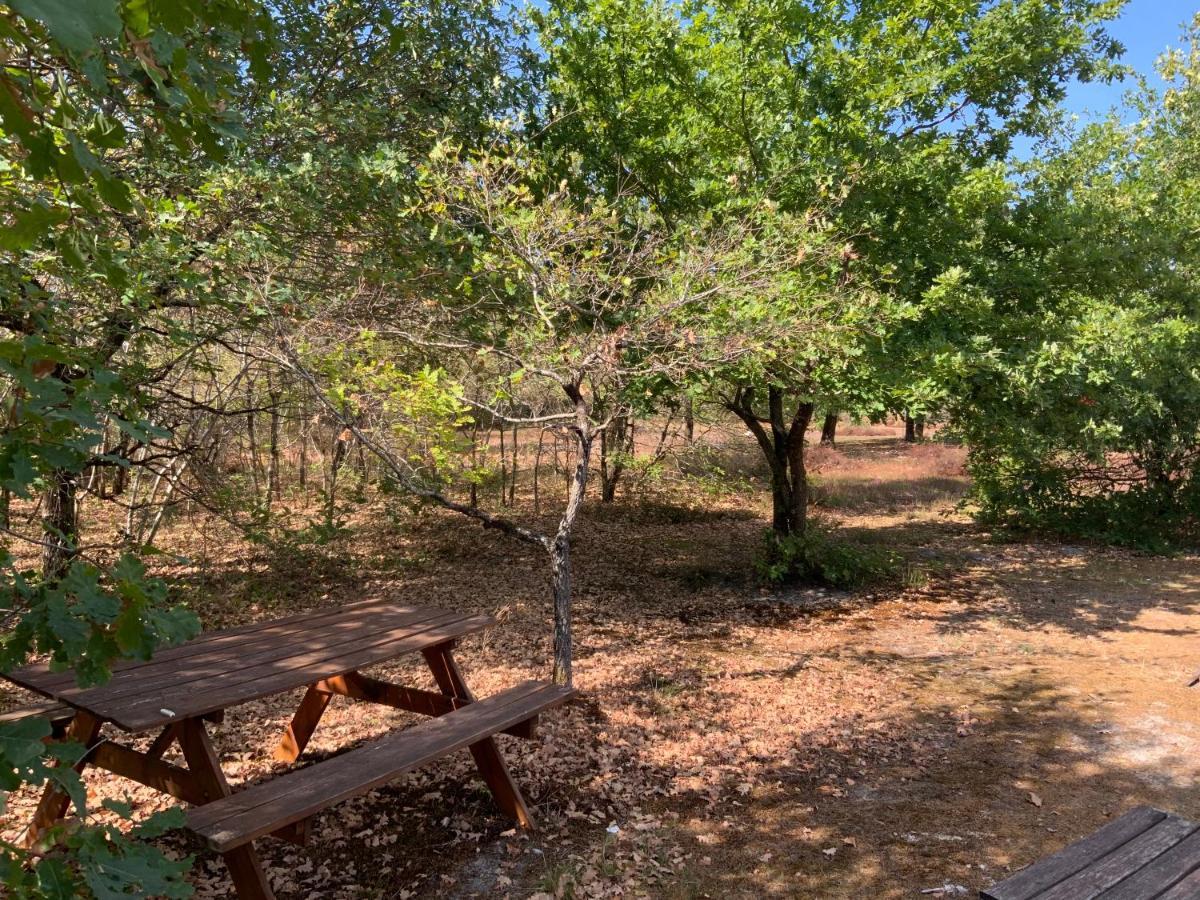 Domaine De Labelo Bed & Breakfast Commensacq Exterior foto