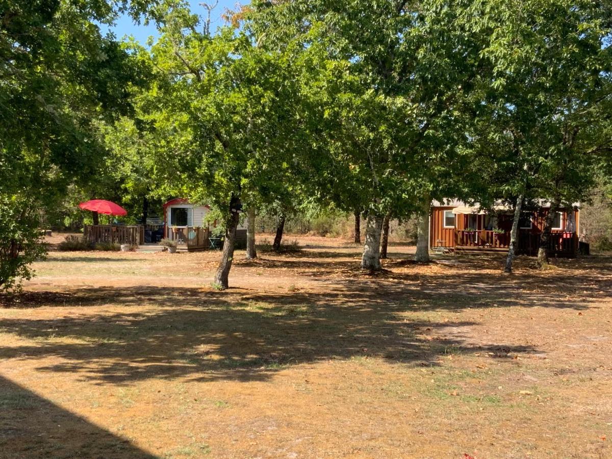 Domaine De Labelo Bed & Breakfast Commensacq Exterior foto